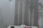 Um dos centenas de traillers que visitam o Sequoia National Park,  na Califórnia - EUA